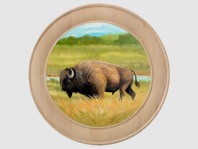 Shooting Disc Motif 133