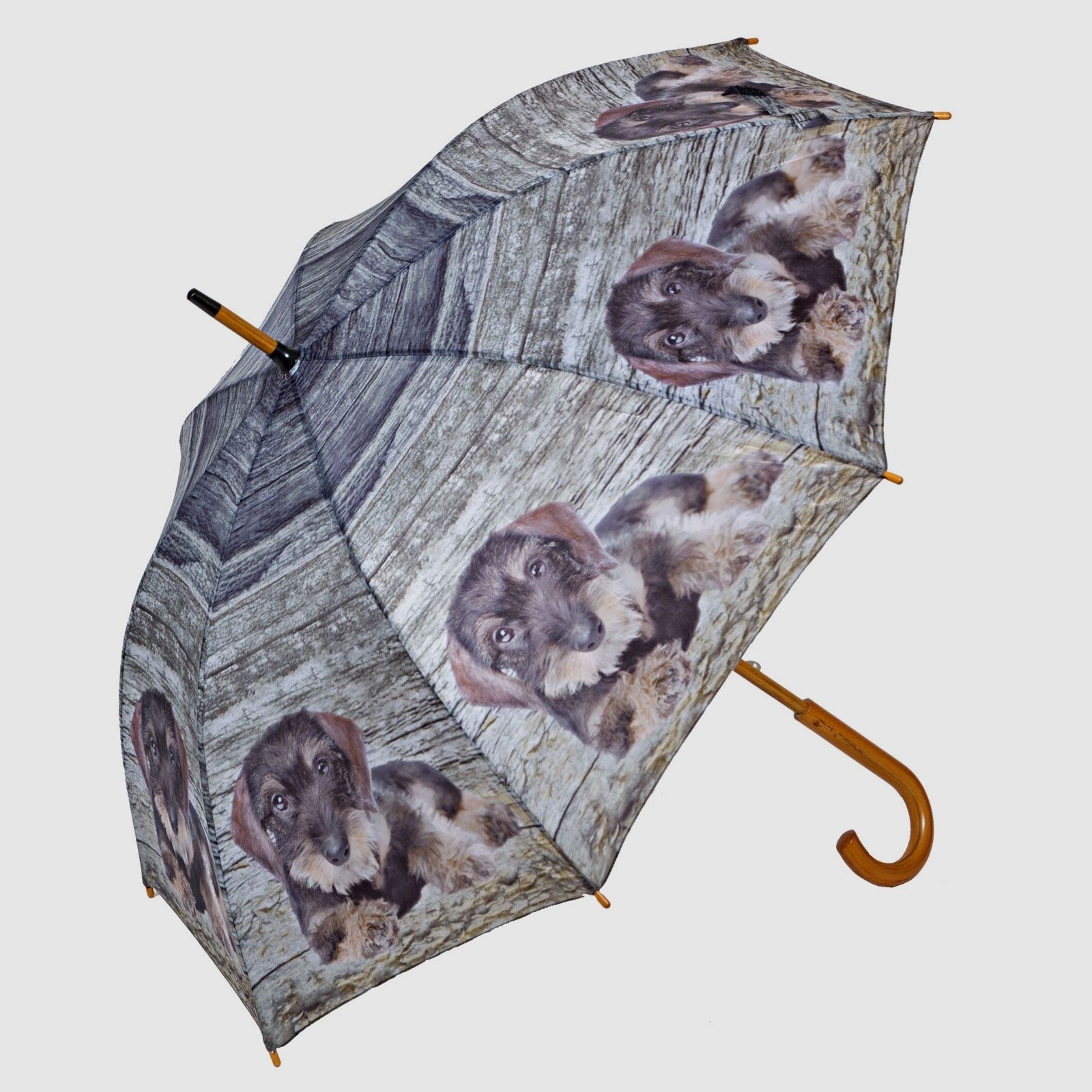 Regenschirm Dackel
