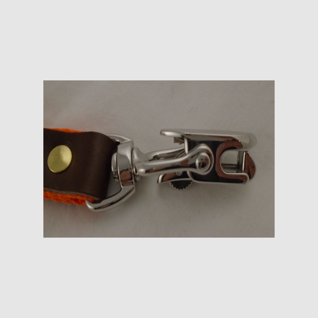 BLF trial leash webbing with quick release 25 mm x 250 cm – Orange, image 3 of 3