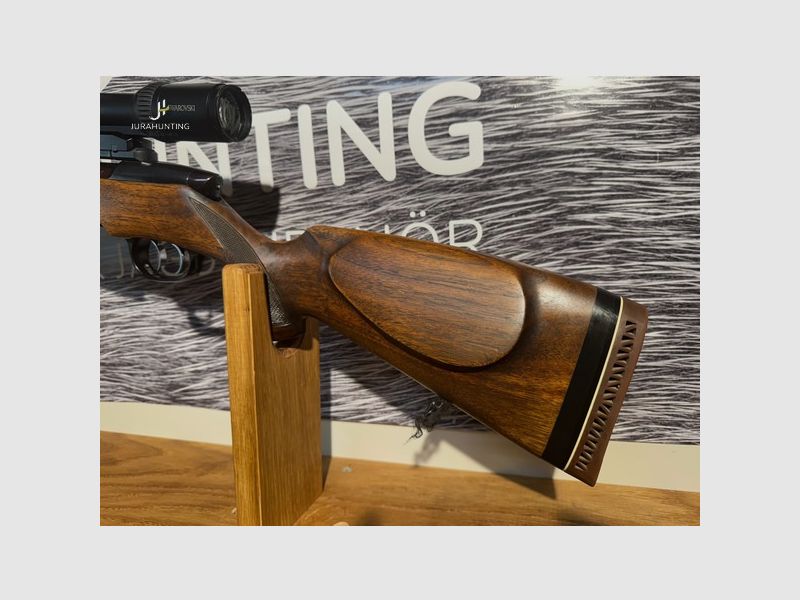 Steyr Mannlicher M; Swarovski 2,5-10-56; Aimpoint; Hausken; Dentler