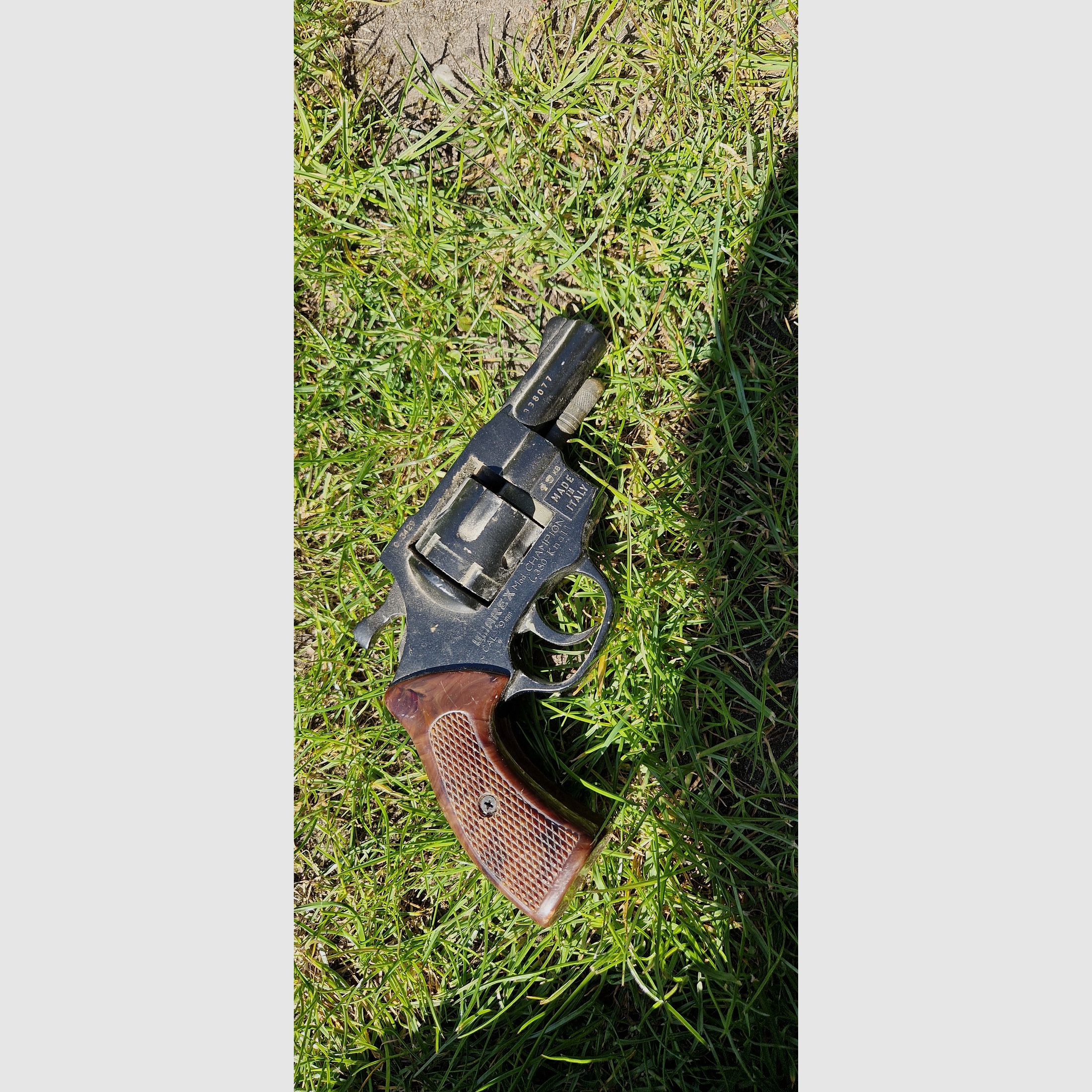 Umarex Modello Champion 