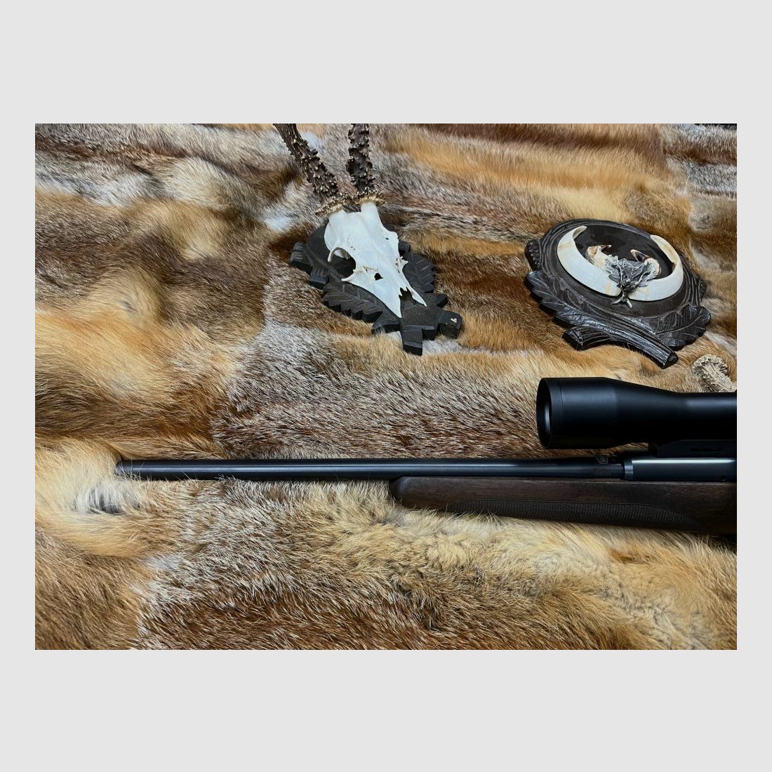 Mauser M25 Pure