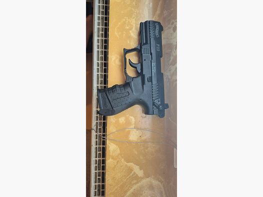 Walter P22 