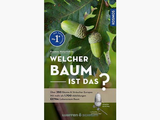 Kosmos Welcher Baum ist das? Spohn