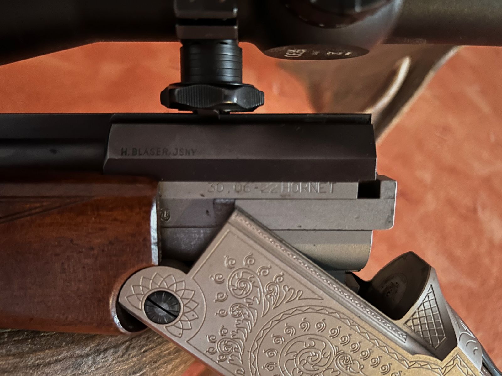 Blaser Bergstutzen 30-06 / .22 Hornet