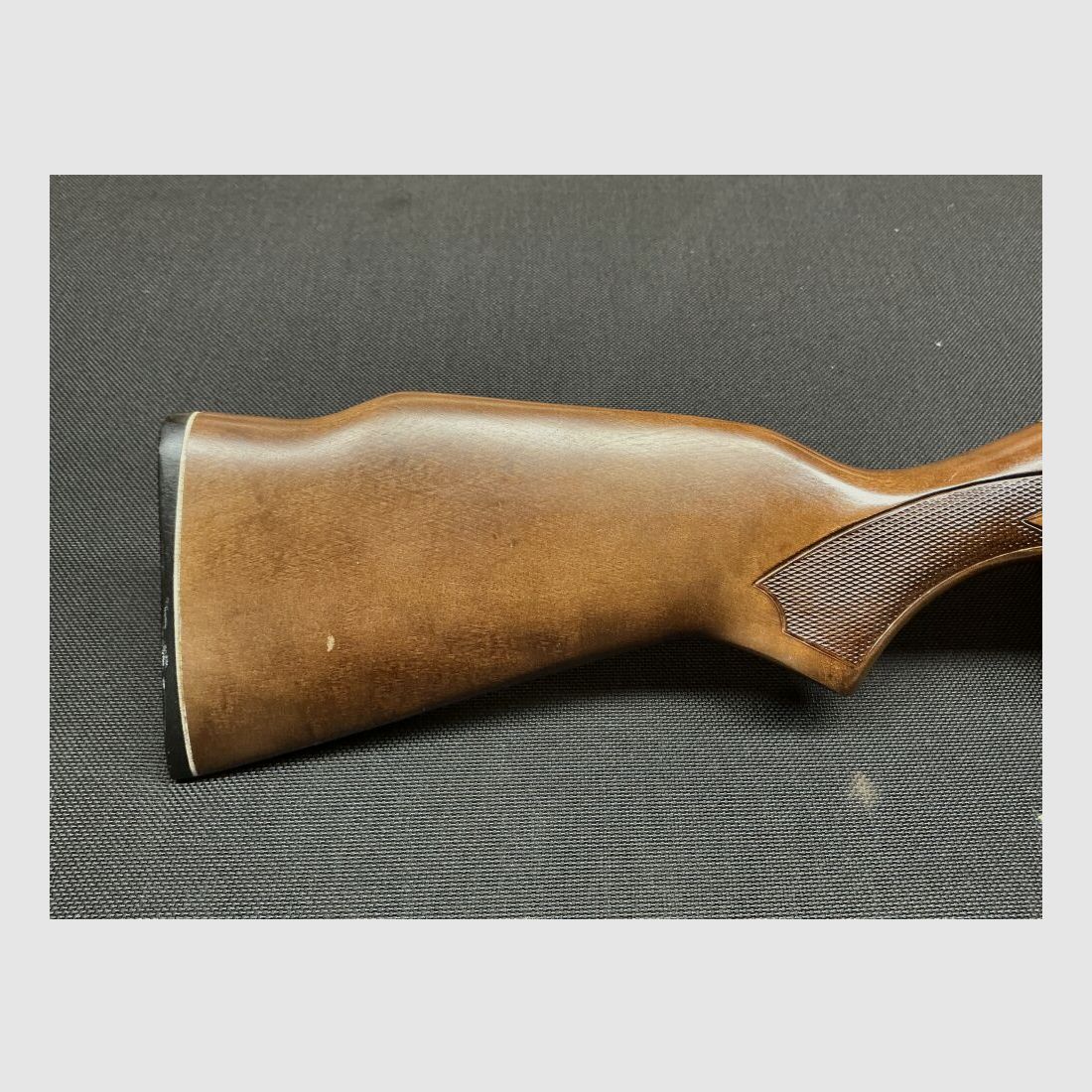 Lakefield sin .22lr, imagen 3 de 10