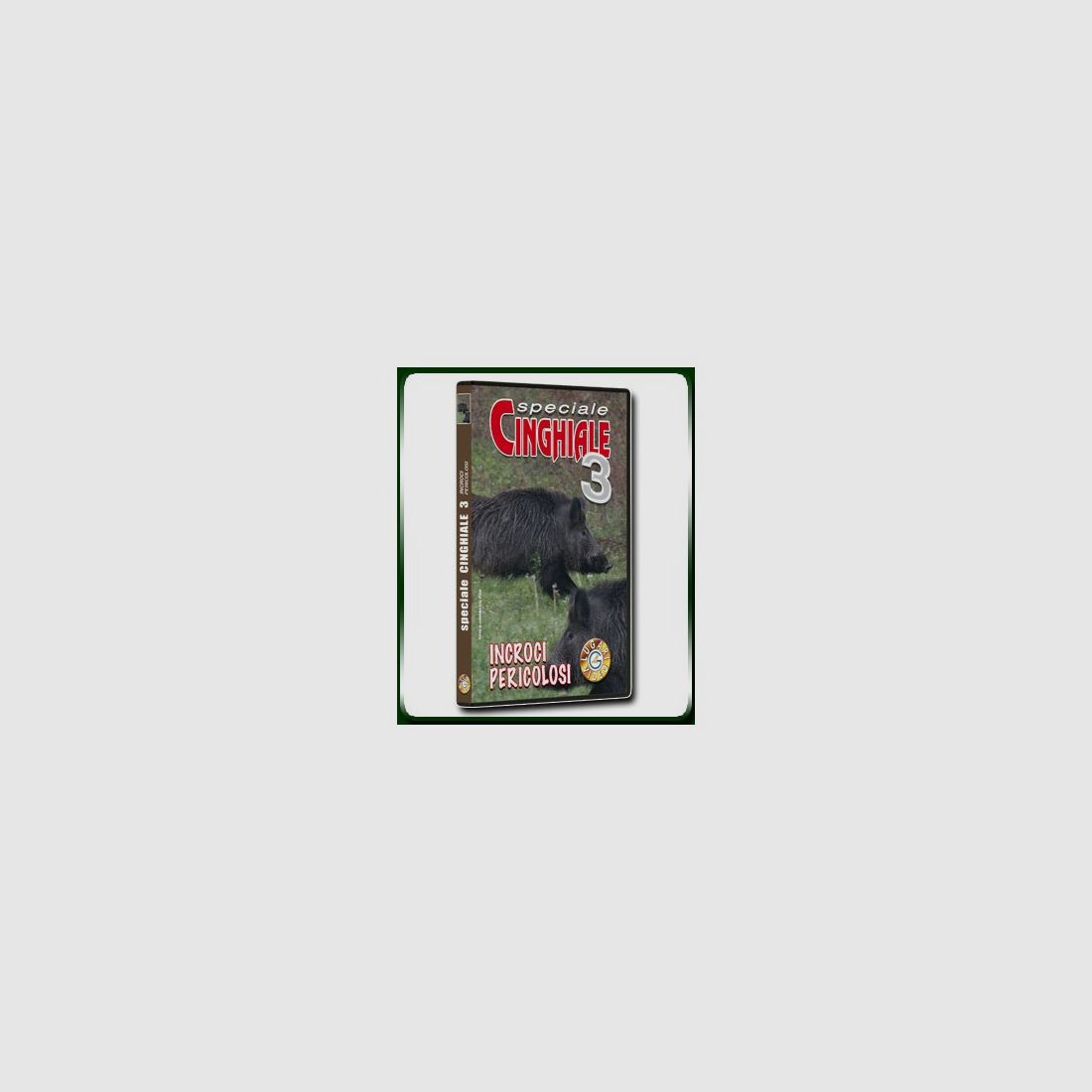 Speciale CINGHIALE 3 INCROCI PERICOLOSI