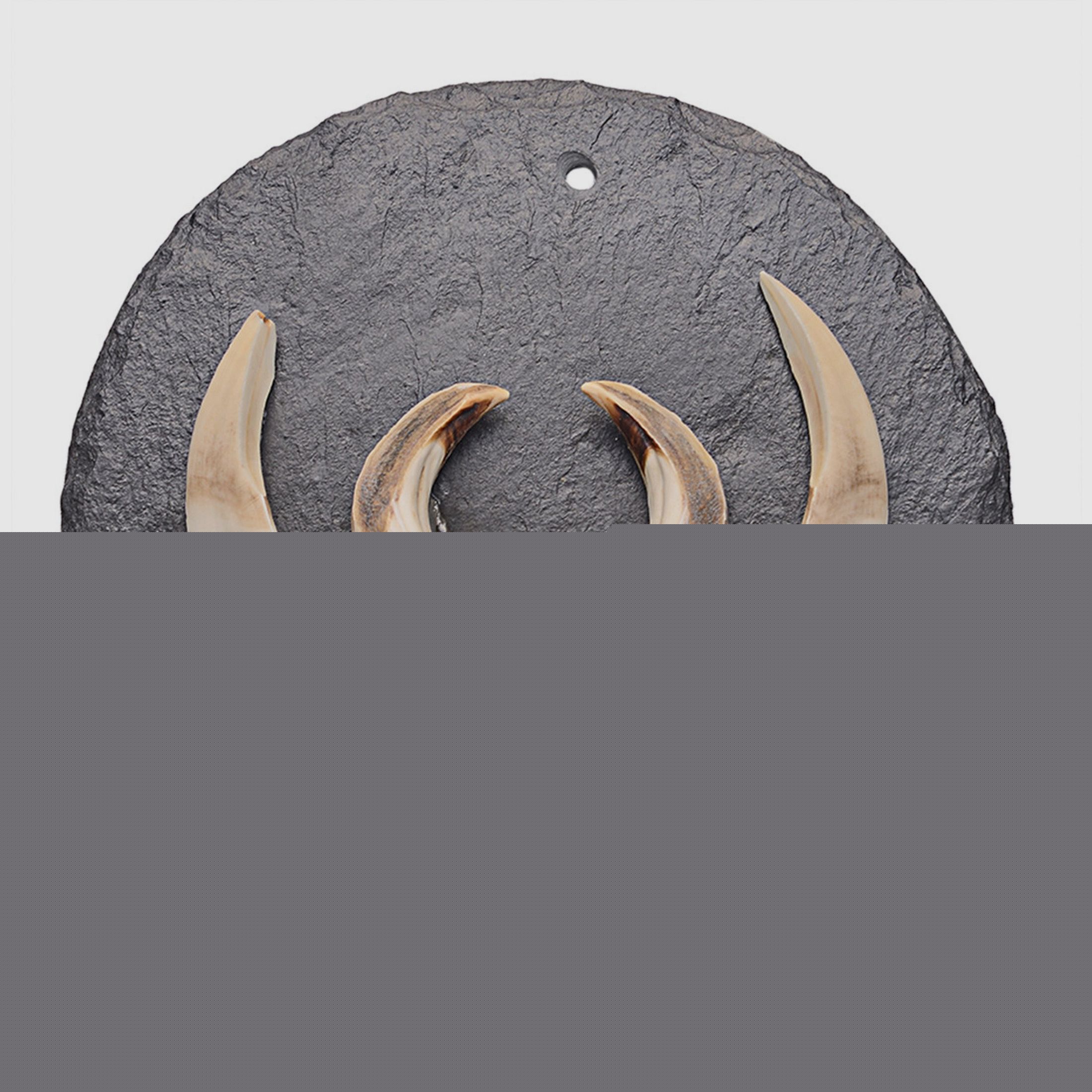 Pardur Trophäenschiefer Keilerscheibe, rund