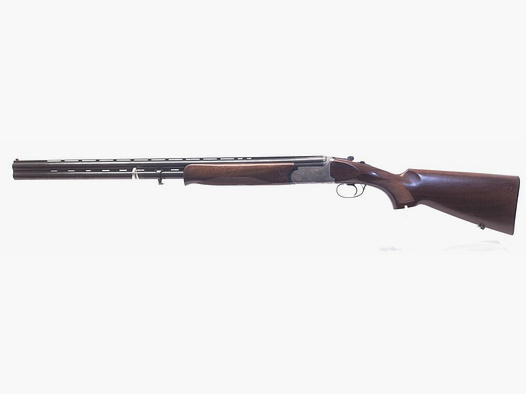 Rizzini AT 605