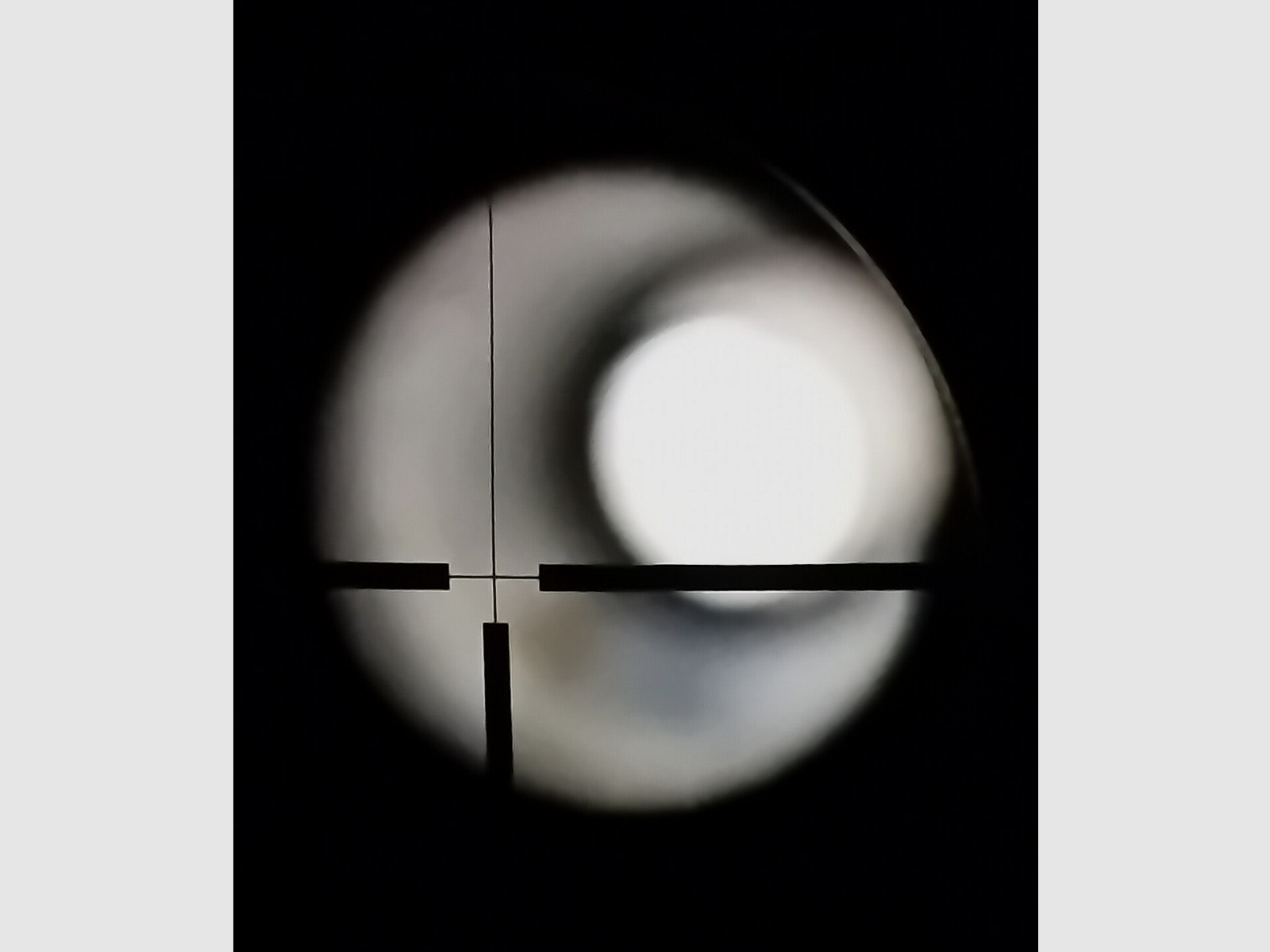 Diana 350 Magnum Premium 