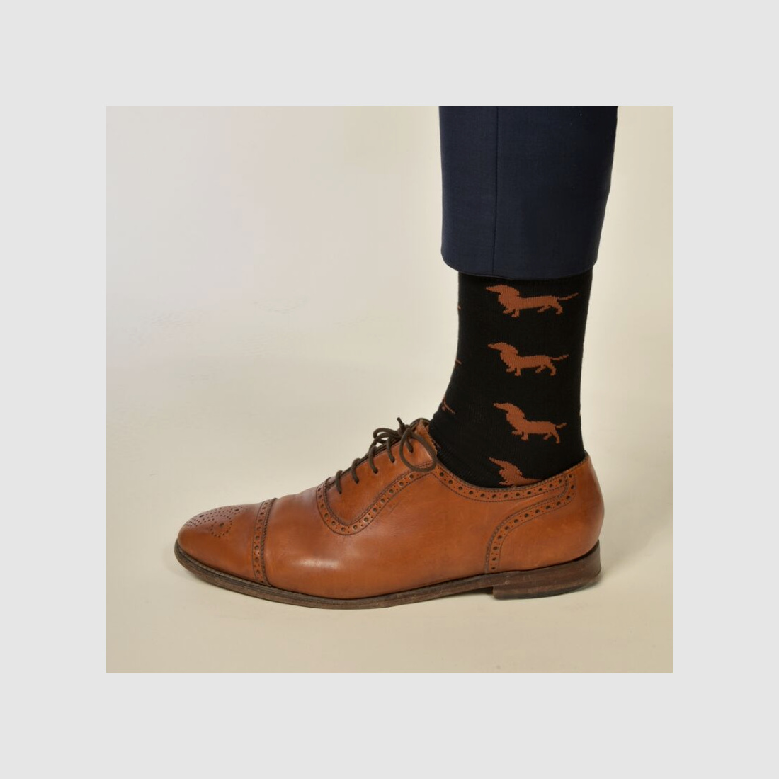 Krawattendackel Unisex Socken schwarz, Dackel braun