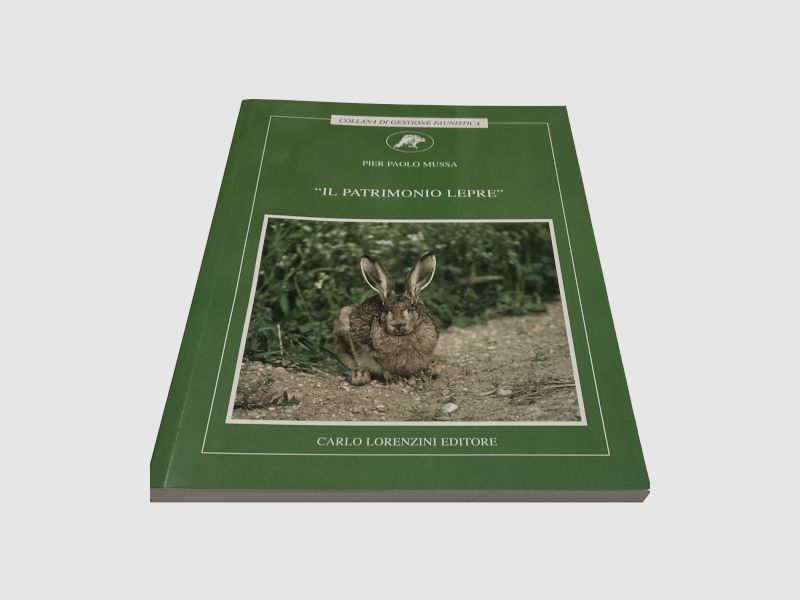 CARLO LORENZINI EDITORE – BOEK "DE HAASERFENIS", afbeelding 1 van 2