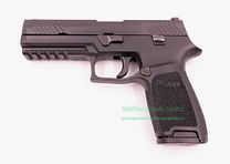 SIG Sauer Mod. P320