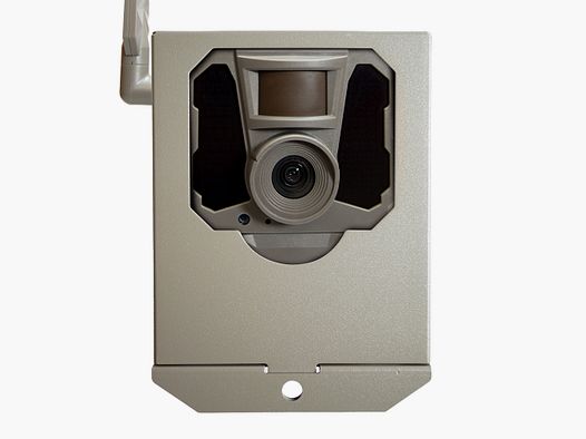 CAJA SEGURIDAD REVEAL X