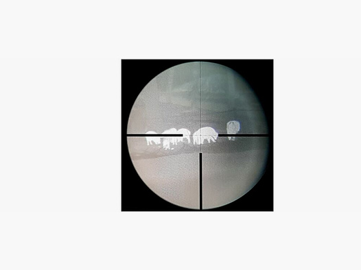 Nightlux Nightlux thermal imaging attachment JSA TA 435