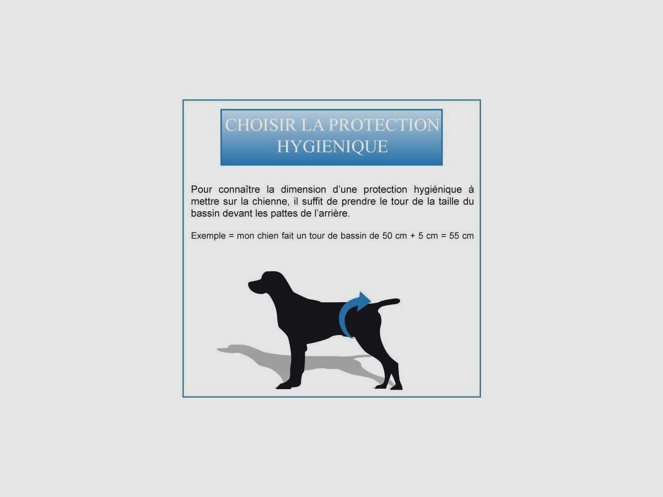 Hygienehose (Größe 2) für Hund, Bild 1 von 2