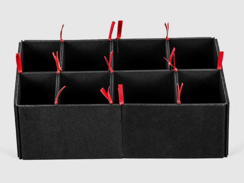 RAUZEUG Organizer INLAY per RC350