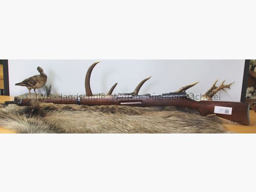 Fábrica de armas de Berna 96/11