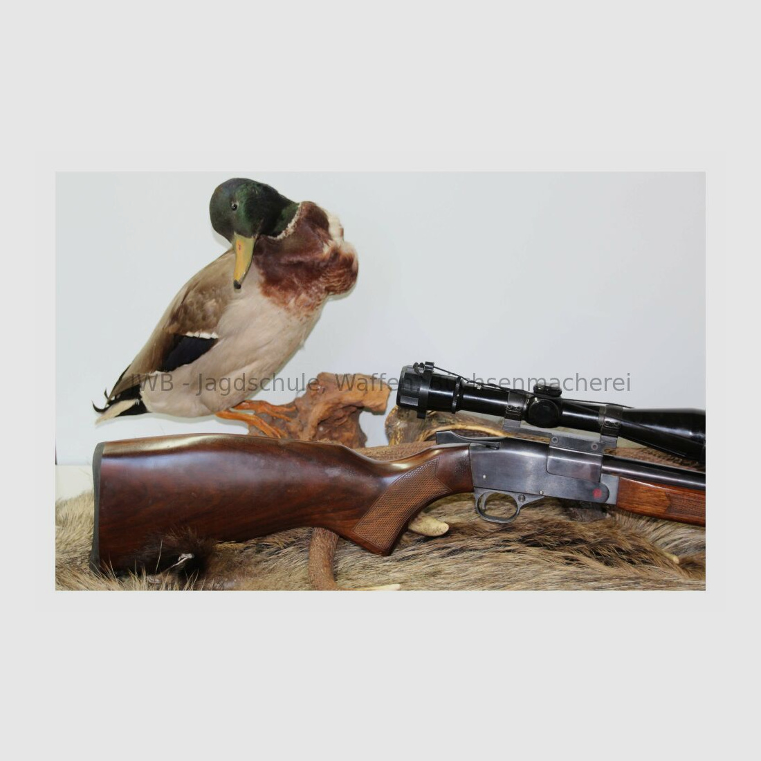 ZBROJOVKA BRNO break-action rifle 5.6x50Mag