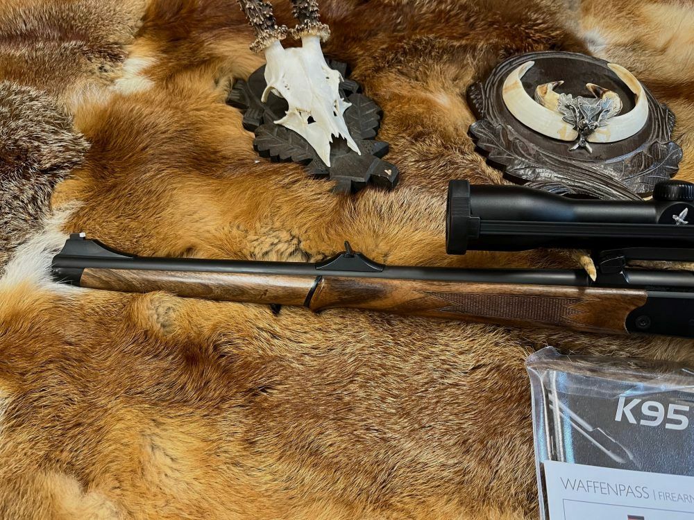 Blaser K95