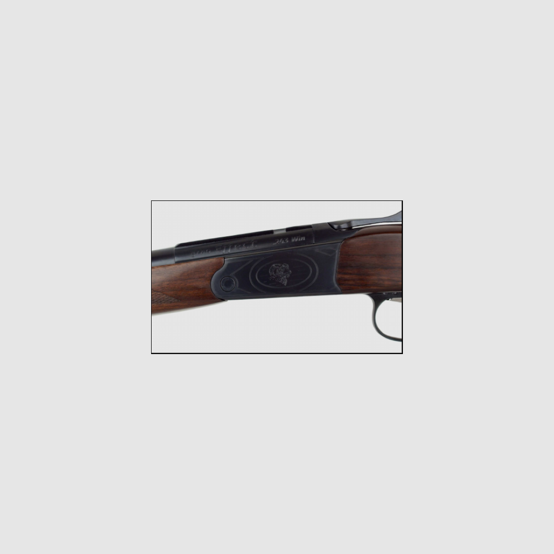 KIPPGEWEHR CZ-BRNO EFFECT PREIS: 1800€ RABATT: 1500€, Bild 4 von 5