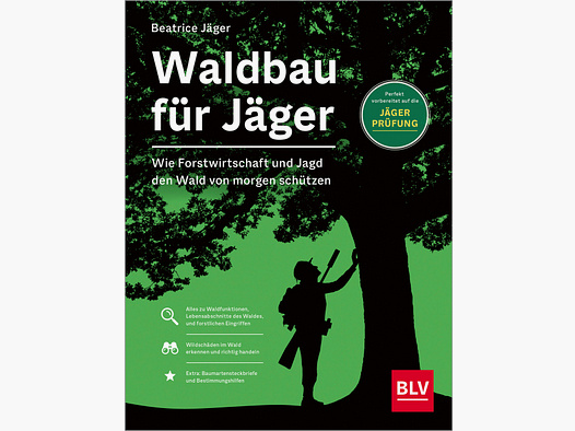 Waldbau für Jäger – Wie Forstwirtschaft und Jagd den Wald von morgen schützen