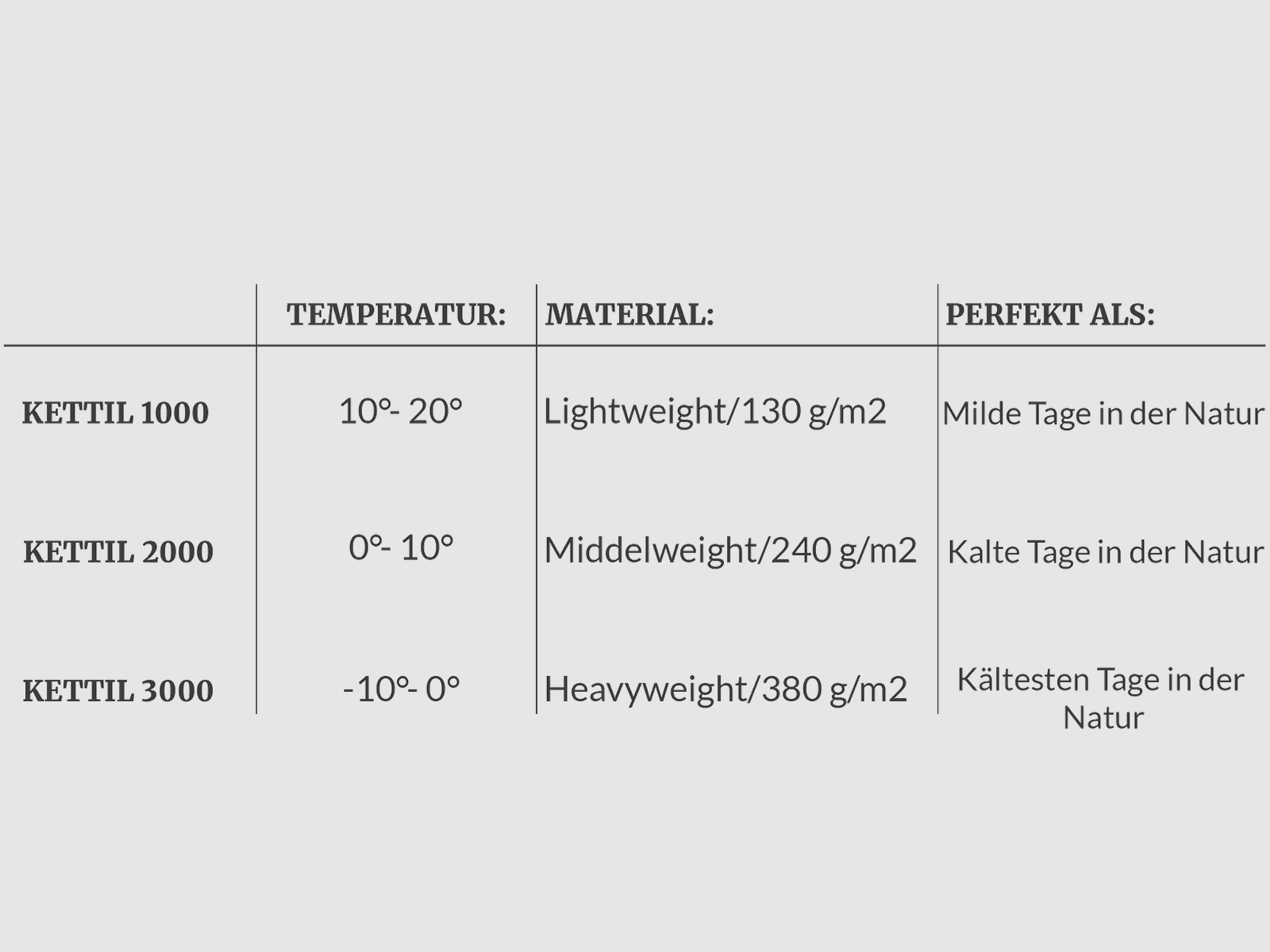 Kettil 3000 BUCKTHORN / GREY, imagen 10 de 10