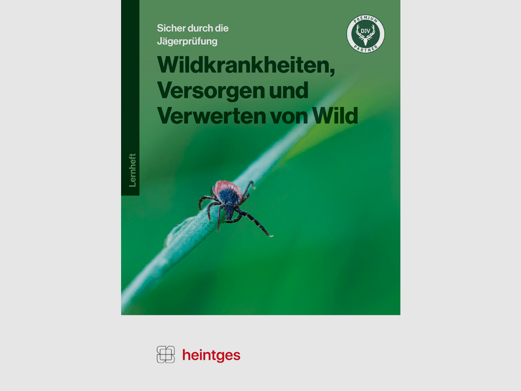 Arbeitsblätter Jägerprüfung "Wildkrankheiten, Versorgen & Verwerten von Wild"