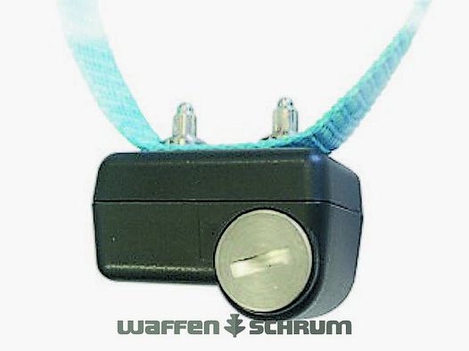 NUM'axes Canicalm First Anti-bell collar