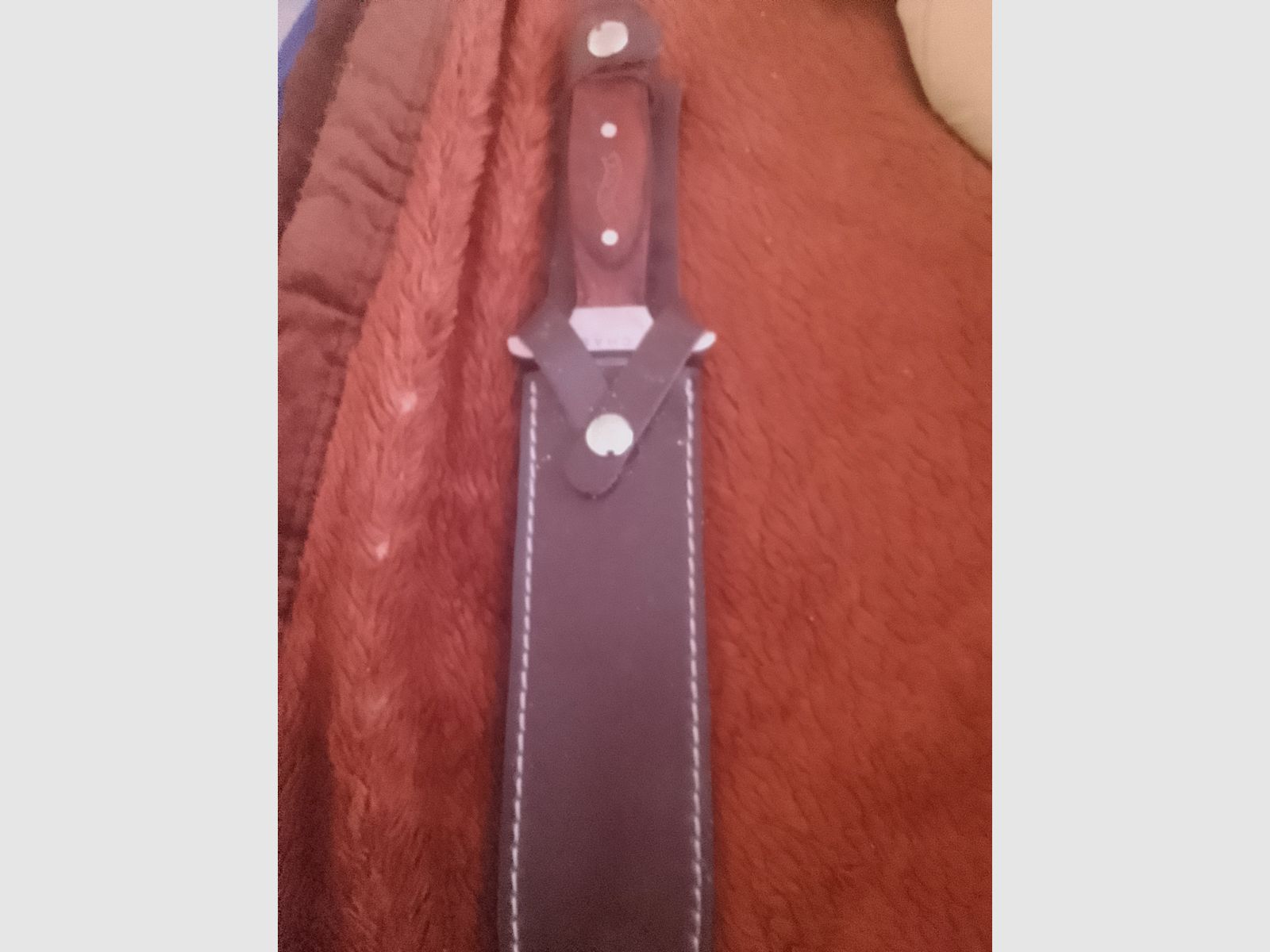 Cuchillo Walter Saufänger