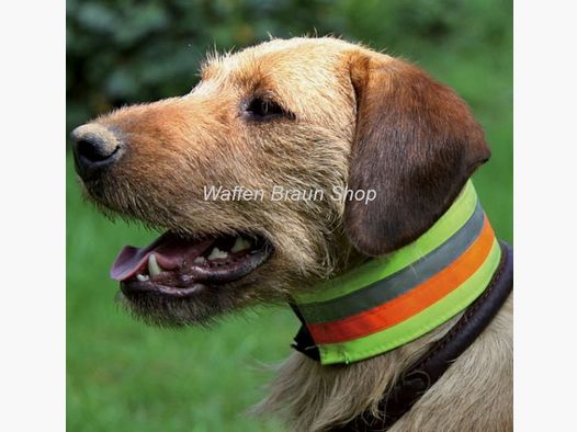 Reflektierendes Halsband, 7 cm breit, 55 cm lang