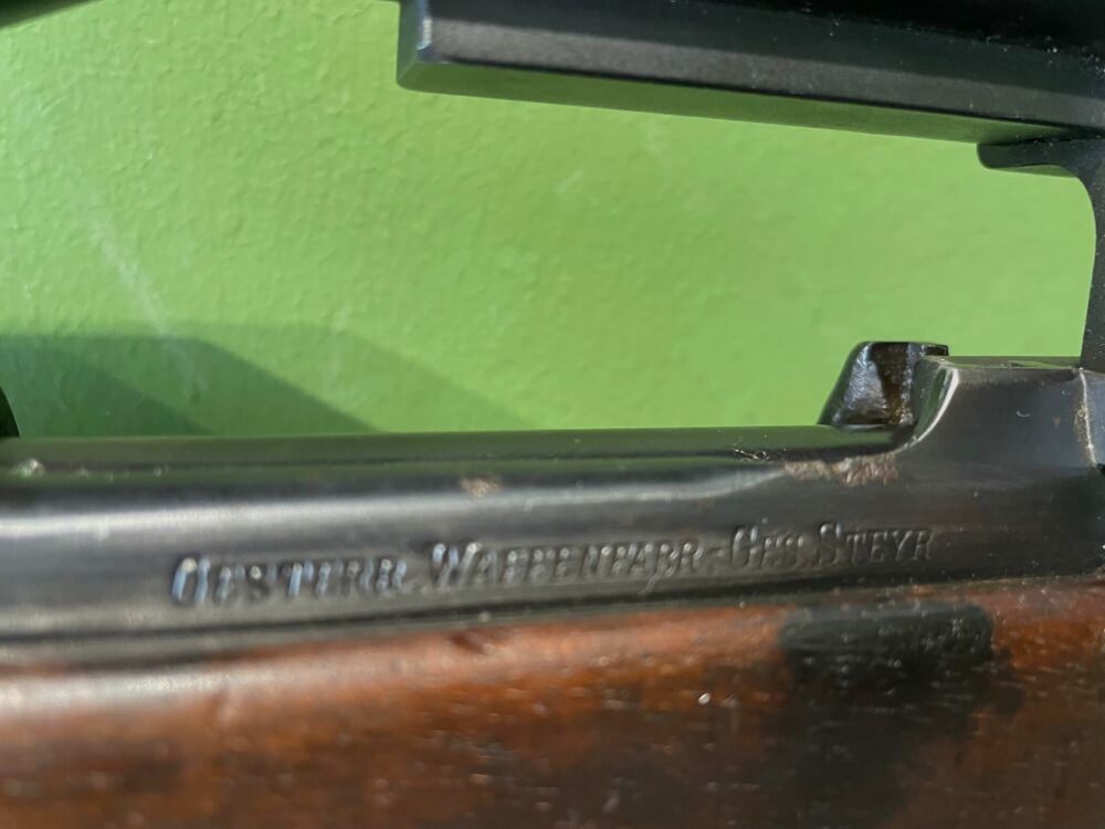 Steyr without, image 10 of 10