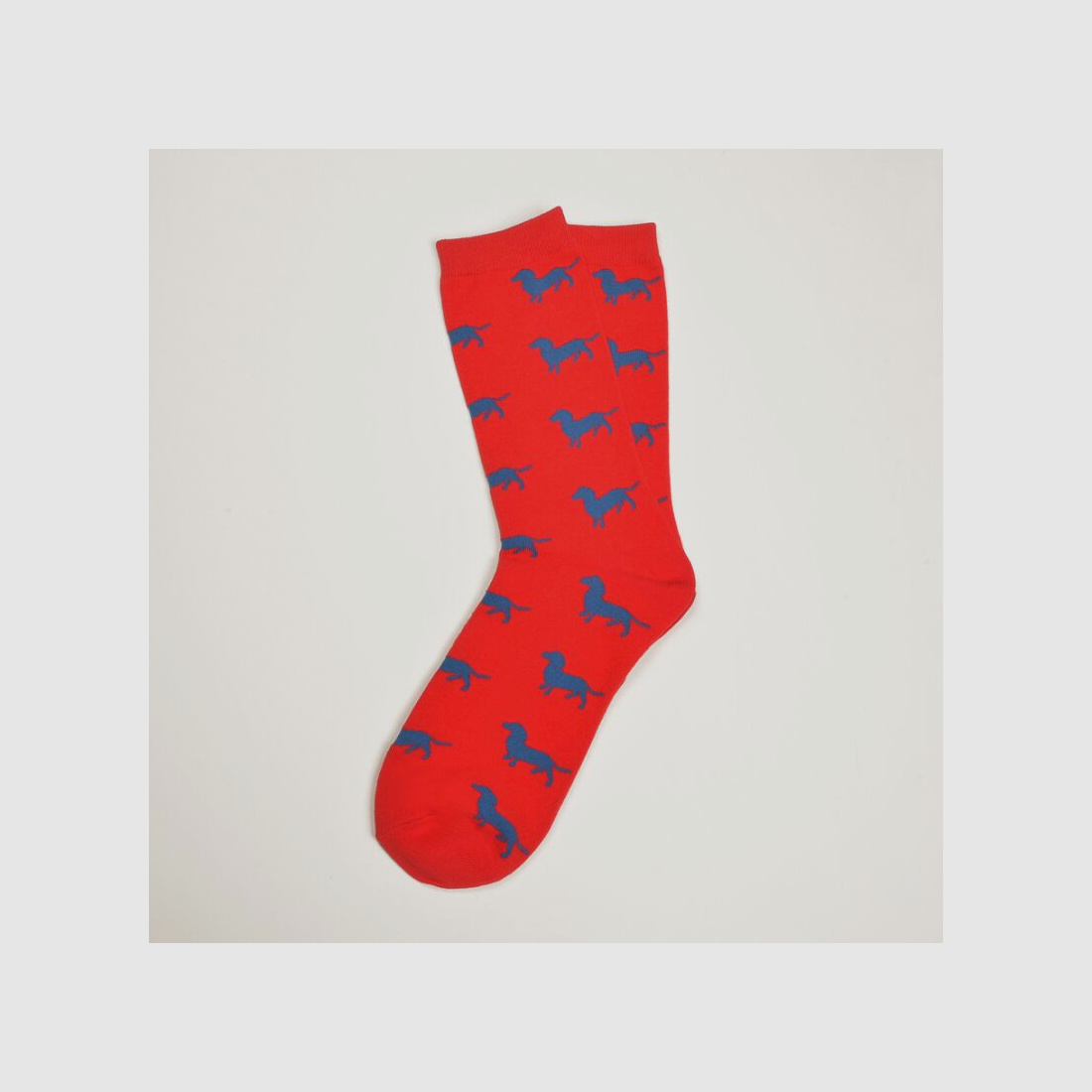Krawattendackel Damen Socken rot, Dackel blau, Größe 36-40