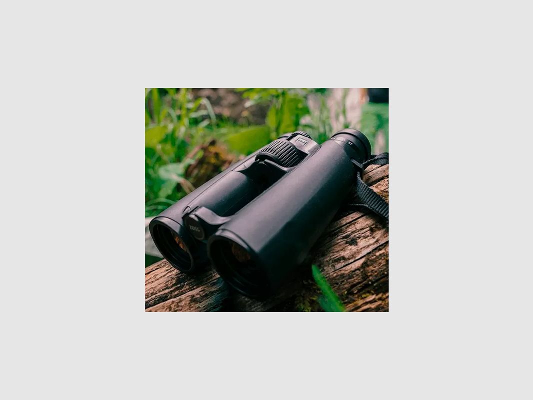 Zeiss Victory SF 10 x 42 T* LotuTec Schwarz, Bild 1 von 5