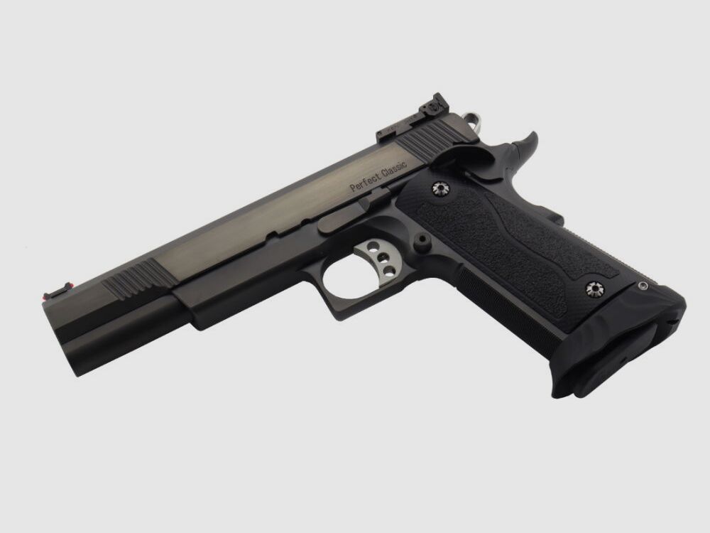 STP door Prommersberger Perfect Classic