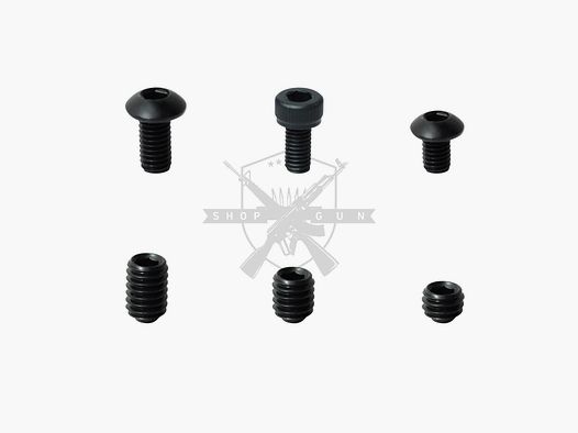 LCT AK screw set