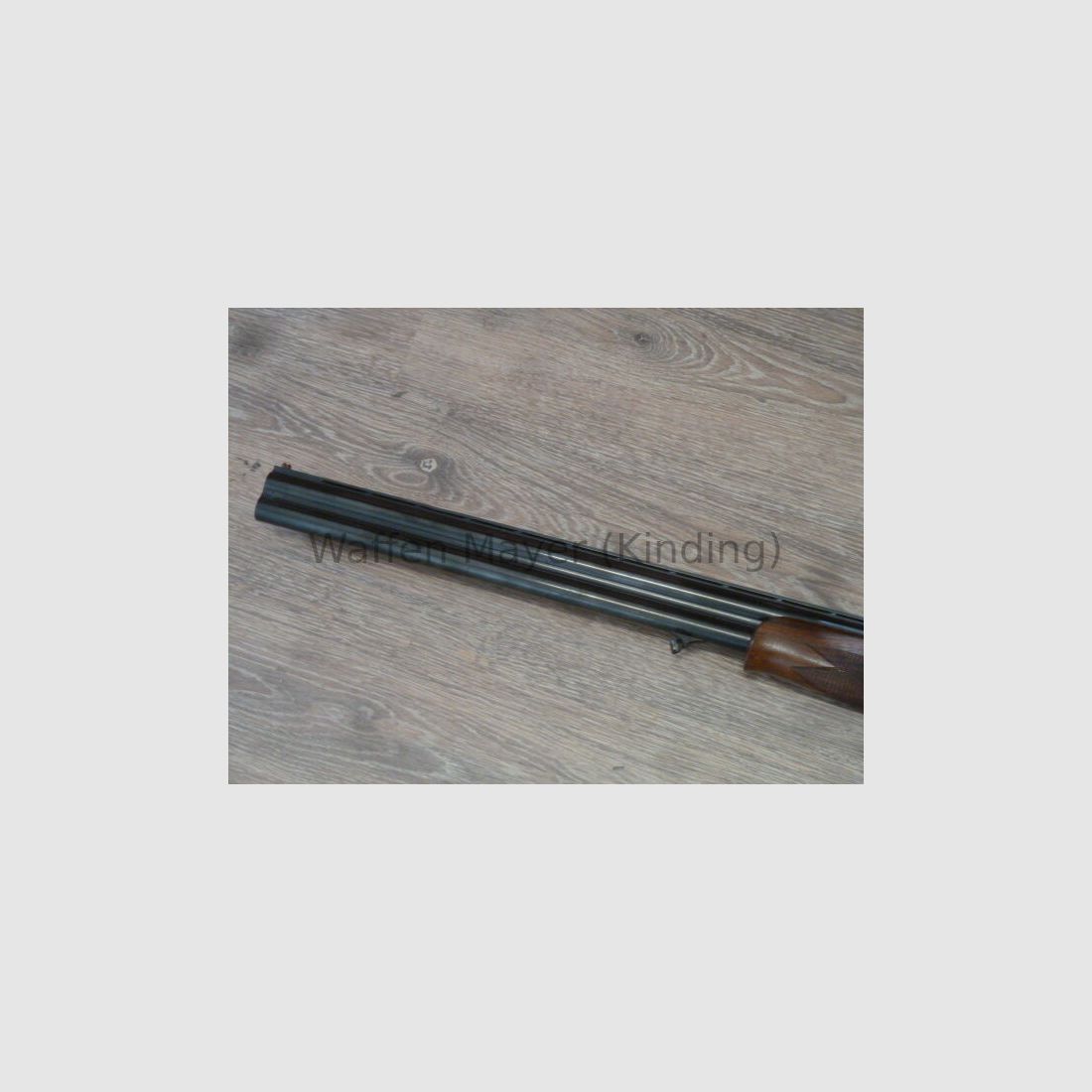 Rottweil Mod.700