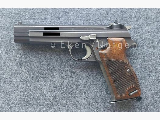 SIG P210-6