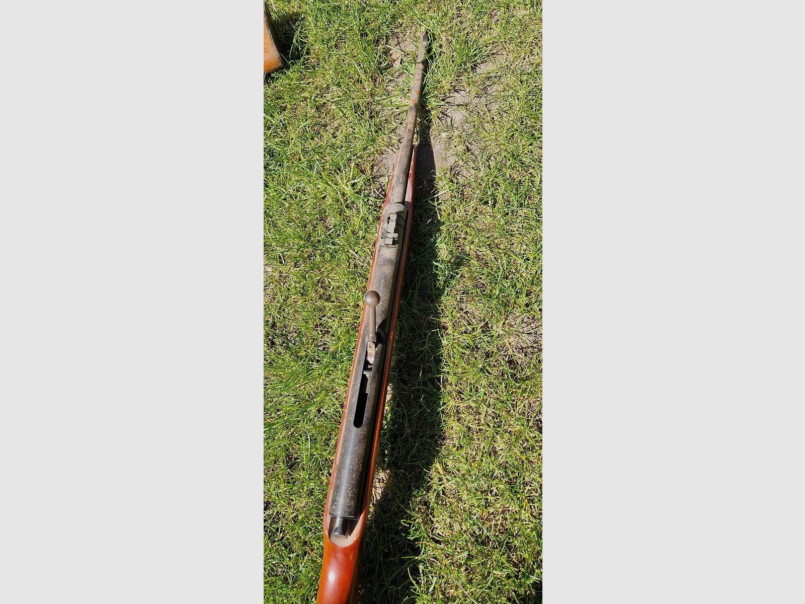 Luftgewehr Haenel Suhl 310