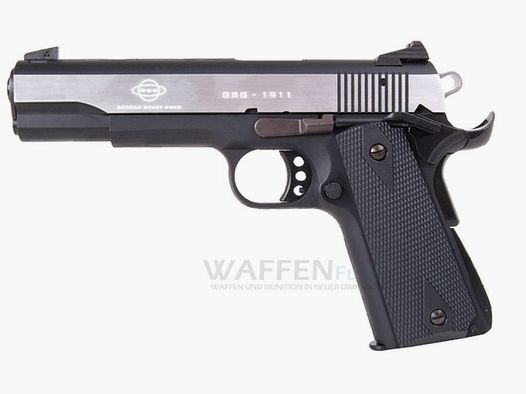 GSG 1911 Stainless Steel Kaliber .22lr