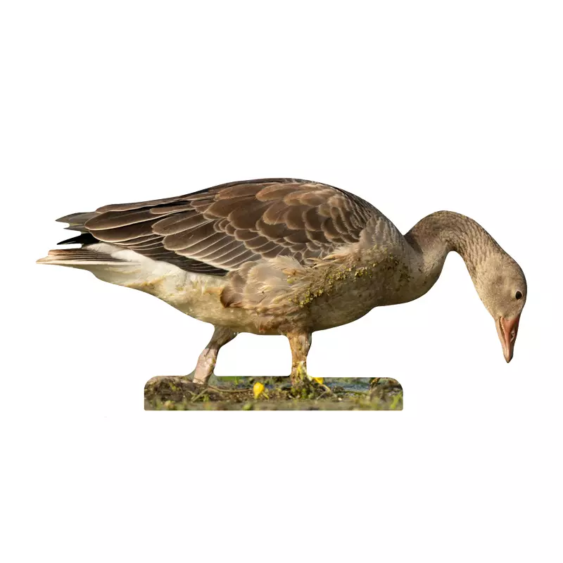 Tieraufsteller Graugans