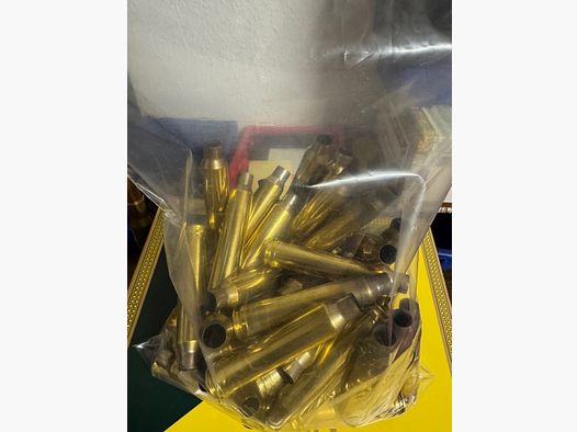 ..300 win mag Hülsen PPU