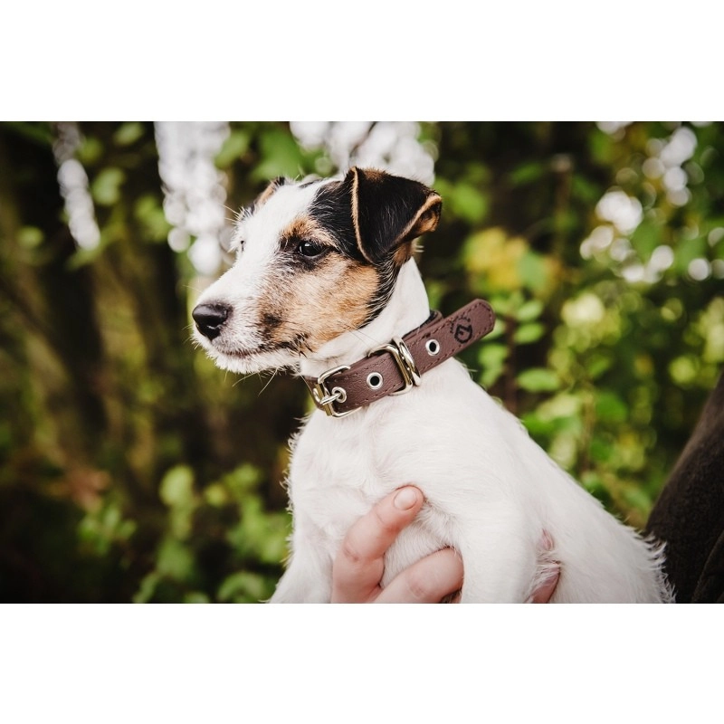Farm-Land Comfort collier pour chien, marron, image 3 sur 3