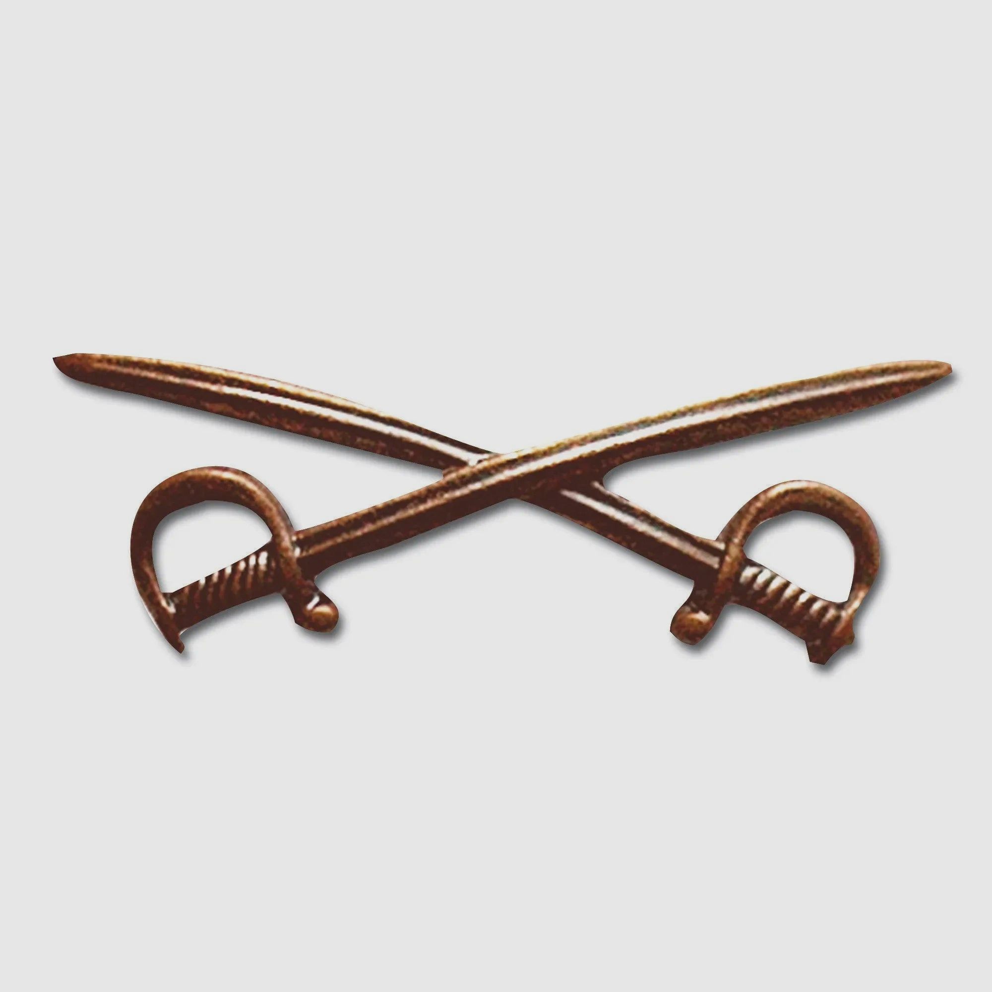 Insigne Fritzsch Bw Sabres croisés