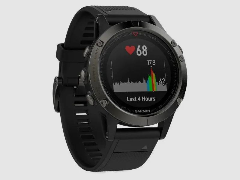 Garmin Garmin Fenix 5 grau