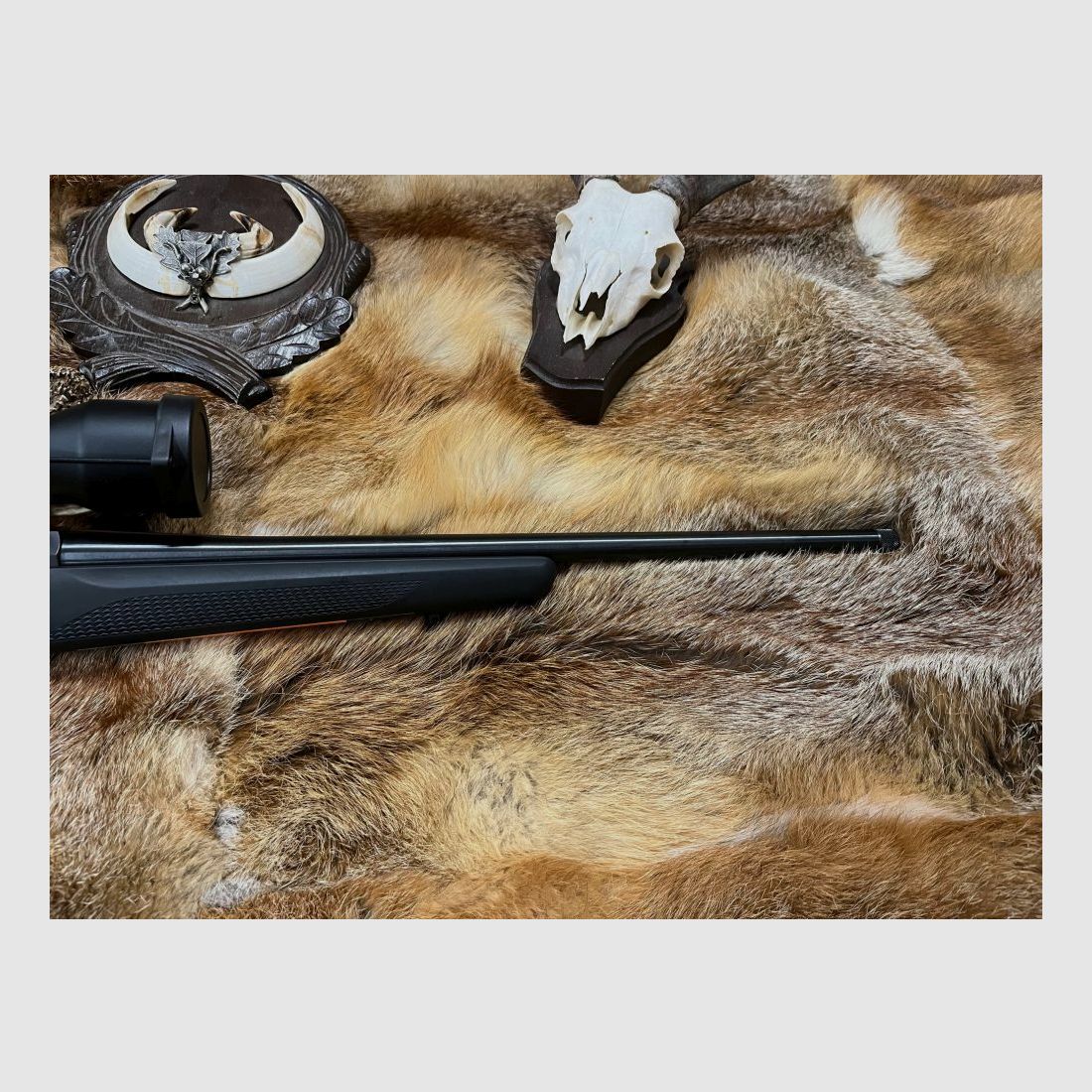 Tikka T3 light