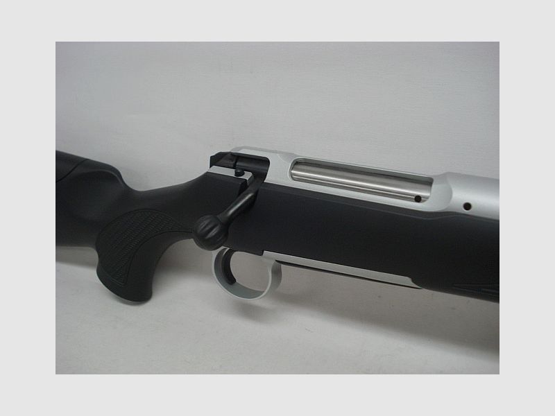 101 Silver XTA LL56 & MG oV - .30-06Spring, silver