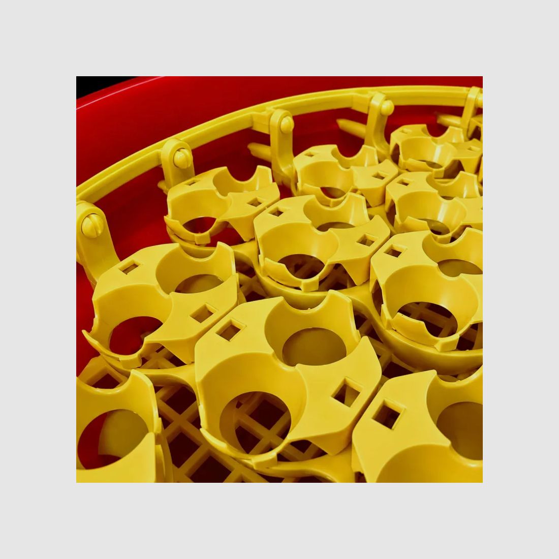 Adapters for Quail Eggs, image 6 of 9