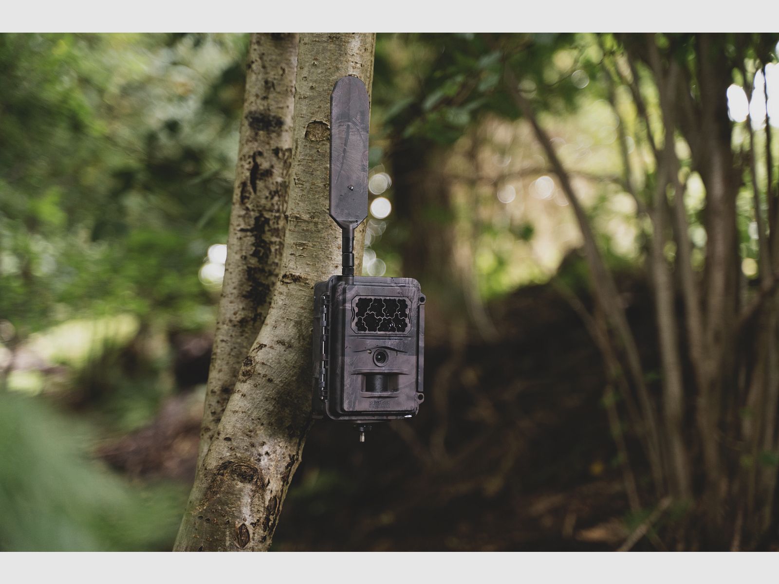 Seissiger Wildkamera Base-Cam LTE SUPERSIM-Edition inkl. 18650 Akkus, Bild 6 von 9