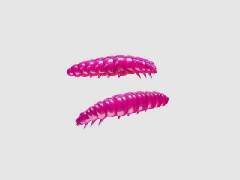 Larva, billede 3 af 4